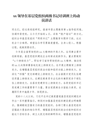 XX领导在基层党组织两级书记培训班上的动员讲话
