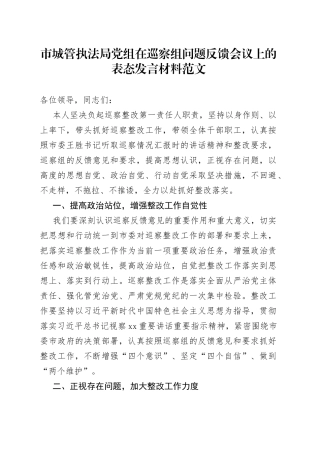 市城管执法局党组巡察组问题反馈会议表态发言材料编号2308