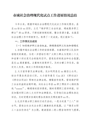 市域社会治理现代化试点工作进展情况总结