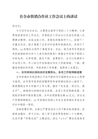 在全市供销合作社工作会议上的讲话