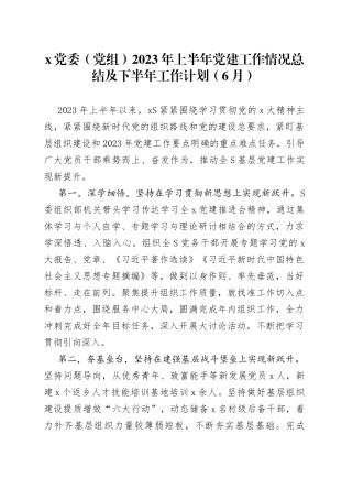 x党委（党组）2023年上半年党建工作情况总结及下半年工作计划（6月）