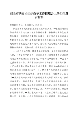 在全市共青团组织改革工作推进会上的汇报发言材料