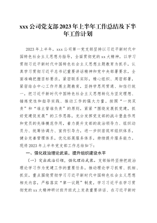X公司党支部2023年上半年工作总结及下半年工作计划