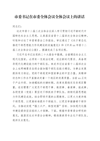 市委书记在市委全体会议全体会议上的讲话