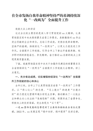 在全市发扬自我革命精神坚持严的基调持续深化“一改两为”全面提升工作效能大会上的讲话