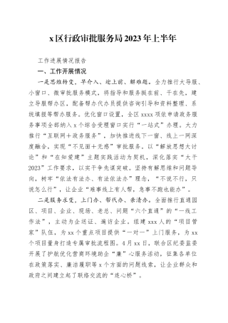 X区行政审批服务局2023年上半年工作进展情况报告