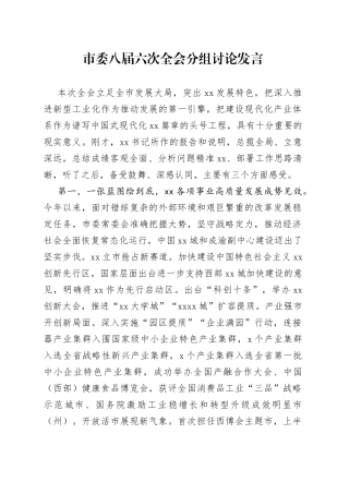 市委全会讨论发言