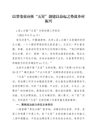 X县X庄镇“五星”支部创建工作综述