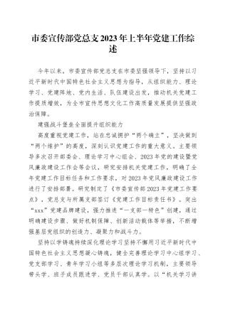 市委宣传部党总支2023年上半年党建工作综述（20230704）