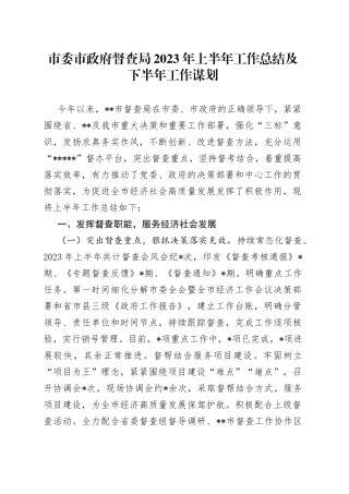 市委市政府督查局2023年上半年工作总结及下半年工作谋划