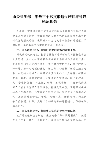 市委组织部：聚焦三个抓实 锻造过硬标杆 建设模范机关（20230801）