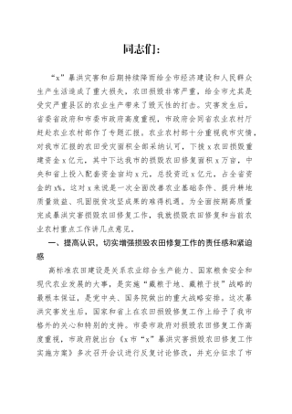 在全市暴洪灾害损毁农田修复工作推进会上的讲话