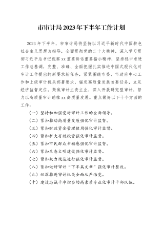 市审计局2023年下半年工作计划（20230609）