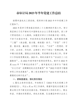 市审计局2023年半年党建工作总结（20230806）