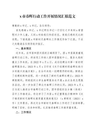 x市春晖行动工作开展情况汇报（总结报告）