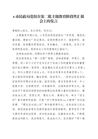 X市民政局党组在第二批主题教育阶段性汇报会上的发言