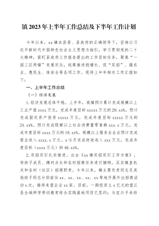 X镇2023年上半年工作总结及下半年工作计划（20230630）