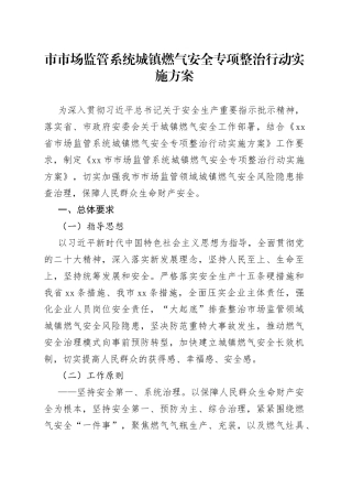 市市场监管系统城镇燃气安全专项整治行动实施方案（20230829）