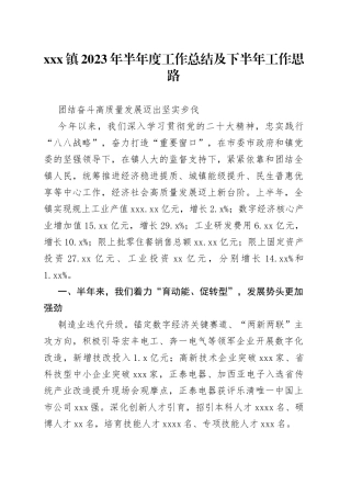 X镇2023年半年度工作总结及下半年工作思路