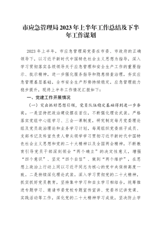 市应急管理局2023年上半年工作总结及下半年工作谋划(1)