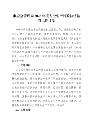 市应急管理局2023年度安全生产行政执法监督工作计划