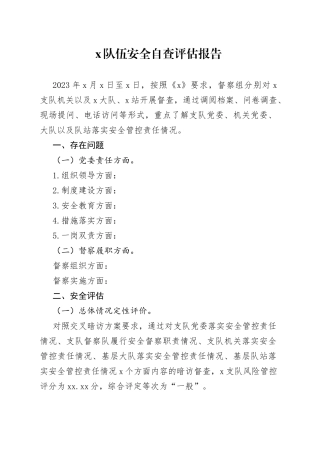 x队伍安全自查评估报告