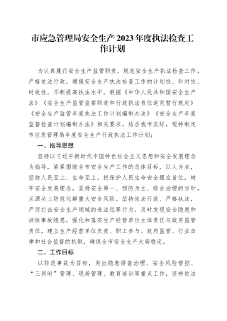 市应急管理局安全生产2023年度执法检查工作计划