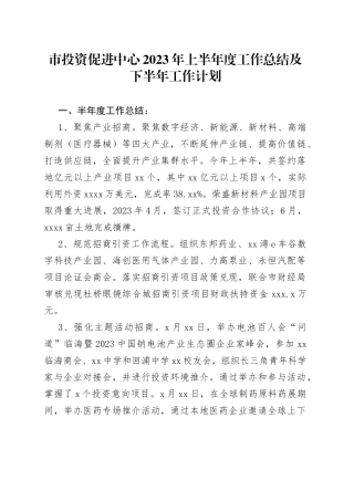 市投资促进中心2023年上半年度工作总结及下半年工作计划（20230802）