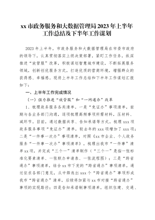市政务服务和大数据管理局2023年上半年工作总结及下半年工作谋划