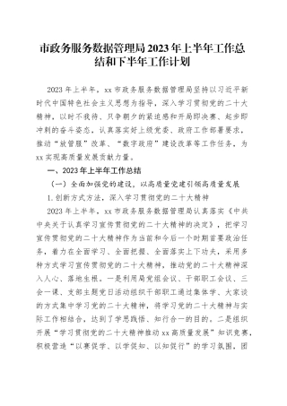 市政务服务数据管理局2023年上半年工作总结和下半年工作计划