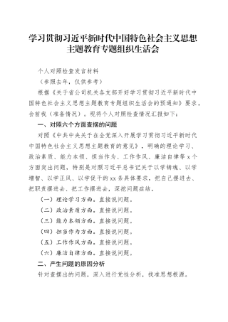 个人对照检查发言材料（提纲模板）