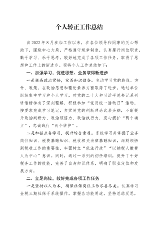 个人转正工作总结