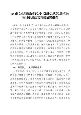 市文化和旅游局党委书记抓基层党建突破项目推进落实完成情况报告