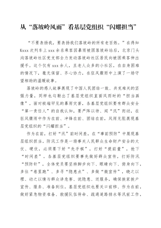 从“落坡岭风雨”看基层党组织“闪耀担当”