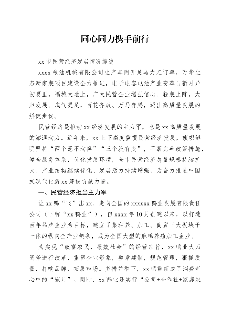 市民营经济发展情况综述_第1页