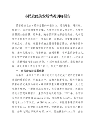 市民营经济发展情况调研报告