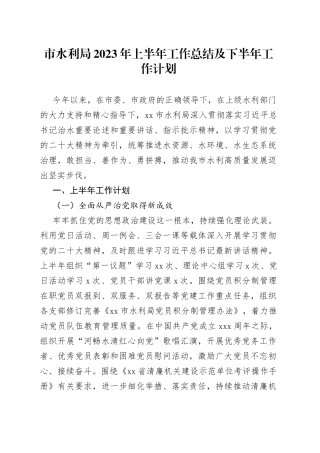 市水利局2023年上半年工作总结及下半年工作计划（20230710）