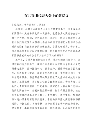 在共青团代表大会上的讲话2