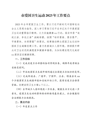 市爱国卫生运动2023年工作要点（20230530）