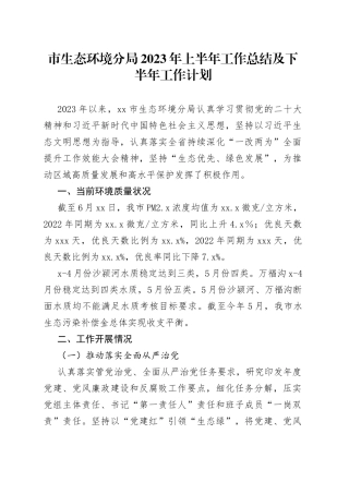 市生态环境分局2023年上半年工作总结及下半年工作计划（20230627）