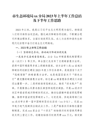 市生态环境局分局2023年上半年工作总结及下半年工作思路（20230629）