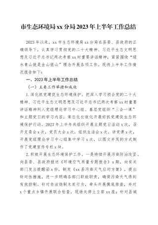 市生态环境局分局2023年上半年工作总结（20230625）