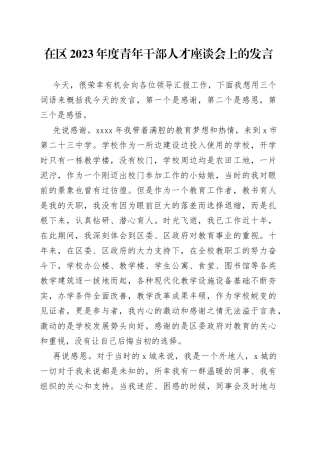 在区2023年度青年干部人才座谈会上的发言-2