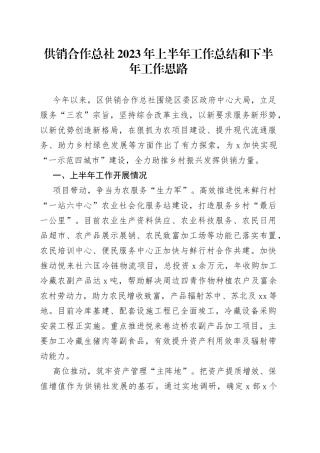 供销合作总社2023年上半年工作总结和下半年工作思路