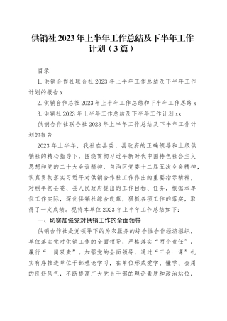 供销社2023年上半年工作总结及下半年工作计划（3篇）