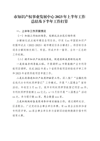 市知识产权事业发展中心2023年上半年工作总结及下半年工作打算（20230706）