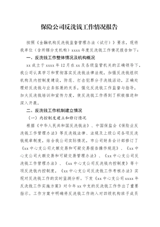 保险公司反洗钱工作情况报告