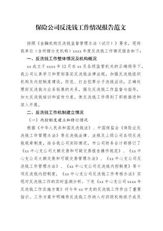 保险公司反洗钱工作报告（汇报总结，集团企业）
