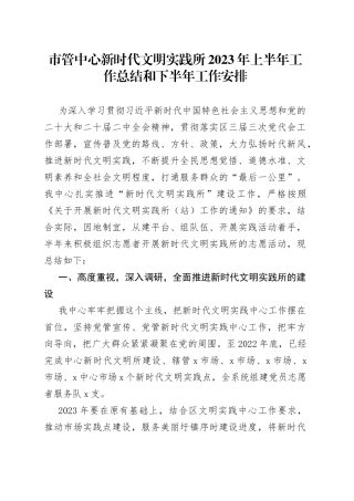市管中心新时代文明实践所2023年上半年工作总结和下半年工作安排