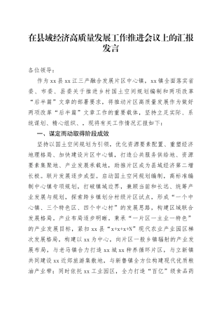 在县域经济高质量发展工作推进会议上的汇报发言